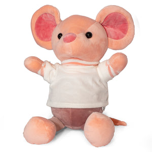 Stuffed Animal Teddy with Personalised T-Shirt